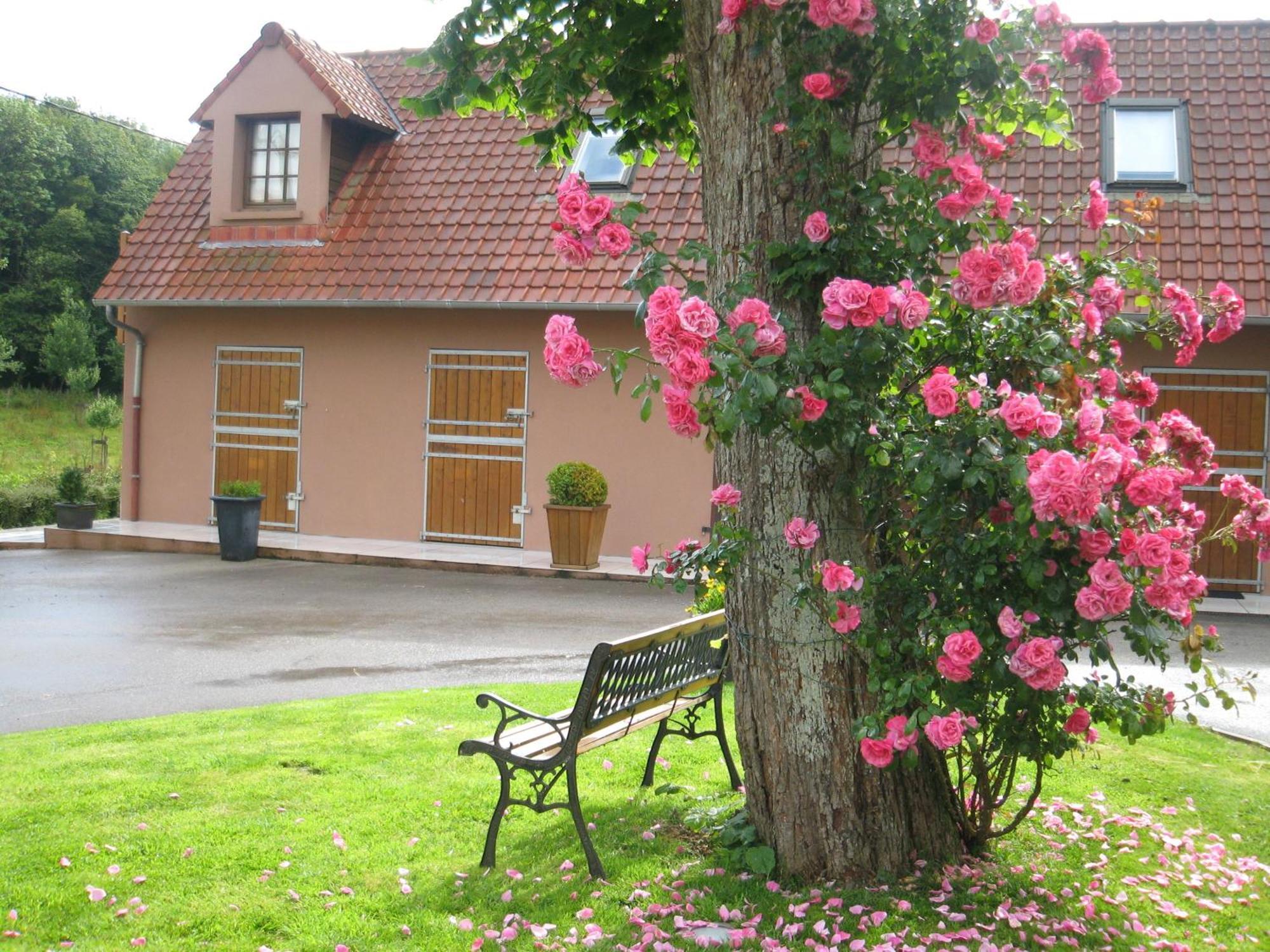 Hotel Du Moulin Aux Draps Desvres Buitenkant foto